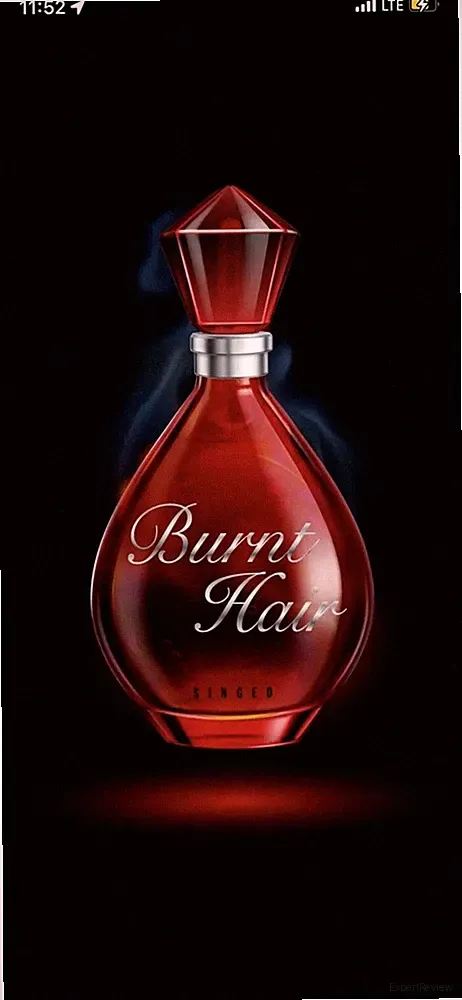 Burnt Hair Perfume Cologne The Boring Company by Elon Musk Tesla 2023